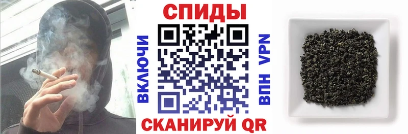 купить   Микунь  БУТИРАТ BDO 33% 