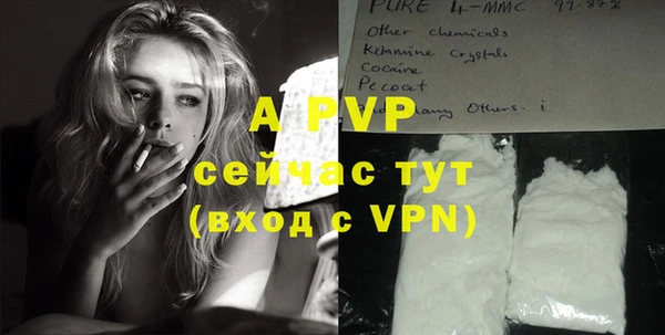спайс Новодвинск