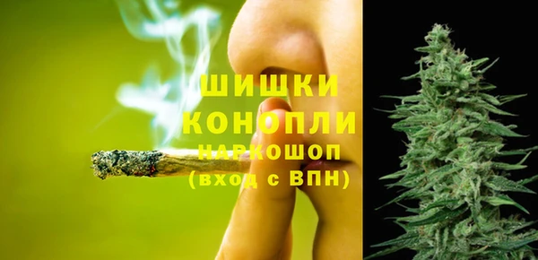 Альфа ПВП Новозыбков