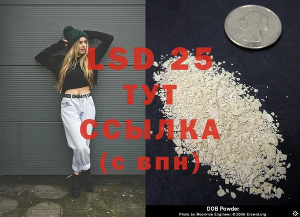 спайс Новодвинск