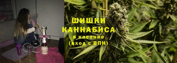 Альфа ПВП Новозыбков