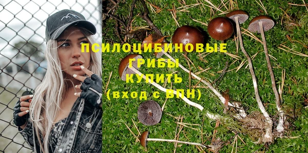 спайс Новодвинск